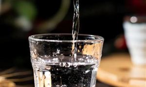 醬酒產業(yè)正處于轉型升級關鍵期 醬香型白酒行業(yè)市場深度調研及投資策略預測報告