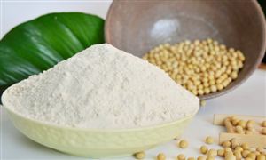 2024年大豆?jié)饪s蛋白行業(yè)的產(chǎn)業(yè)鏈上下游結(jié)構(gòu)及重點(diǎn)企業(yè)