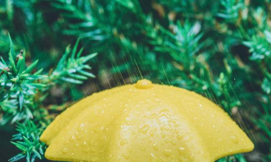 雨傘行業(yè)市場現(xiàn)狀分析及發(fā)展趨勢：健康、環(huán)保、使用便捷是商家加大研發(fā)投入的方向