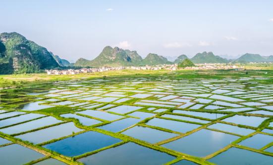 2024生態(tài)農(nóng)業(yè)產(chǎn)業(yè)現(xiàn)狀及未來發(fā)展趨勢、規(guī)劃分析