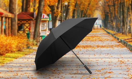 2024年中國雨傘市場深度調(diào)查研究報(bào)告