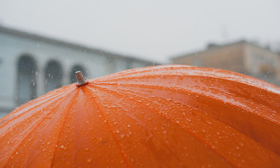 中國雨傘市場深度調(diào)查研究報(bào)告