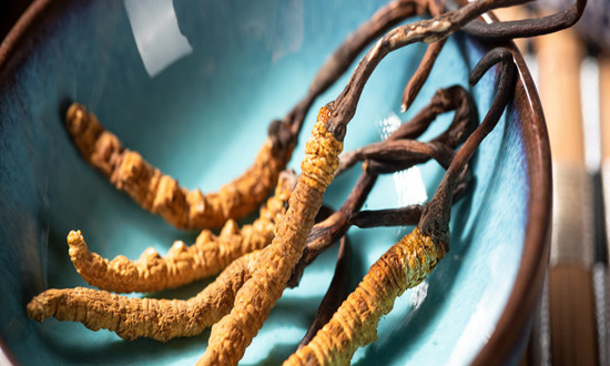 蟲夏草行業(yè)市場(chǎng)現(xiàn)狀：中國冬蟲夏草占世界產(chǎn)量的98%，而青海冬蟲夏草占中國60%以上的產(chǎn)量