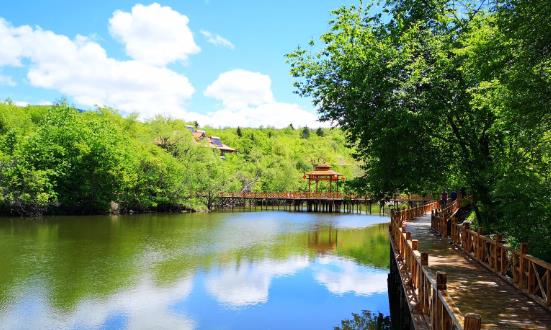 森林公園行業(yè)發(fā)展機(jī)遇與未來趨勢(shì)：實(shí)現(xiàn)森林旅游產(chǎn)業(yè)向高質(zhì)量發(fā)展