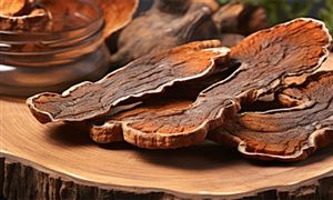 靈芝孢子粉的產(chǎn)值已超100億元 靈芝孢子粉行業(yè)現(xiàn)狀及趨勢(shì)預(yù)測(cè)