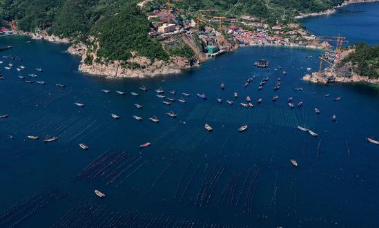 2024海洋牧場行業(yè)深度分析與風(fēng)險投資