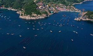 2024海洋牧場行業(yè)深度分析與風(fēng)險投資