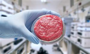2024年中國人造肉行業(yè)的產(chǎn)業(yè)鏈上下游結(jié)構(gòu)及發(fā)展趨勢