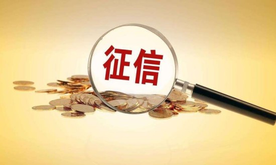 2023年中國征信服務行業(yè)發(fā)展現(xiàn)狀、競爭格局及發(fā)展前景趨勢分析