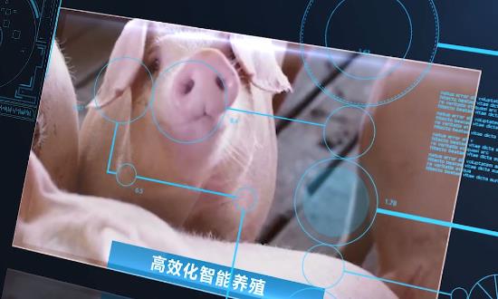 2024智慧養(yǎng)殖產(chǎn)業(yè)現(xiàn)狀、發(fā)展趨勢、市場機遇