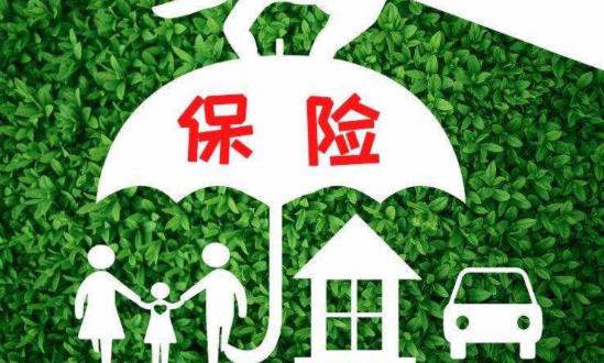 旅游保險行業(yè)發(fā)展現(xiàn)狀分析、市場需求與機遇