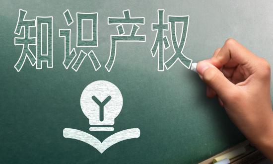 2024中國知識(shí)產(chǎn)權(quán)服務(wù)行業(yè)市場(chǎng)分析及發(fā)展前景預(yù)測(cè)