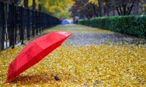 2024雨傘產(chǎn)業(yè)現(xiàn)狀及未來發(fā)展趨勢分析