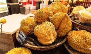 2024年榴蓮行業(yè)發(fā)展分析與投資前景預測 五一假期期間 榴蓮價格突然大跌