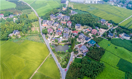 2024年美麗鄉(xiāng)村建設市場分析研究 美麗鄉(xiāng)村建設行業(yè)市場未來發(fā)展前景分析