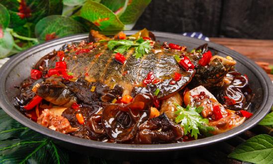 甲魚(yú)市場(chǎng)行情比較看好 甲魚(yú)養(yǎng)殖行業(yè)深度分析