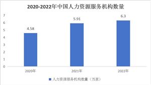 中國(guó)人力資源行業(yè)市場(chǎng)前瞻分析與未來(lái)投資戰(zhàn)略2024