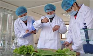 2024年食品安全行業(yè)發(fā)展前景及投資風(fēng)險(xiǎn)預(yù)測(cè) 麥當(dāng)勞中國(guó)回應(yīng)過(guò)期食材換標(biāo)簽事件