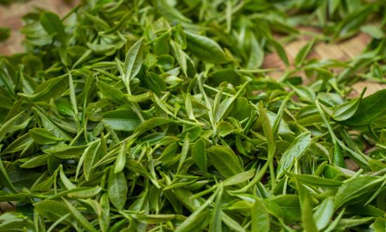 2024茶葉行業(yè)發(fā)展現(xiàn)狀及進(jìn)出口市場、未來前景分析