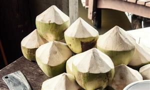 中國椰子行業(yè)市場形勢及行業(yè)現(xiàn)狀分析2024