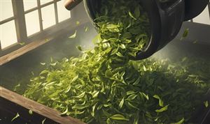 中國茶葉種植與加工行業(yè)總體狀況與細分市場分析