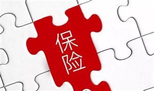 2024保險經(jīng)紀(jì)行業(yè)市場深度調(diào)研及投資策略 保險需求趨向多元化將迎來全面智能化時代