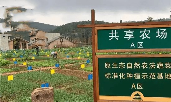 2024年共享農(nóng)場行業(yè)產(chǎn)業(yè)鏈的上下游結(jié)構(gòu)及發(fā)展趨勢