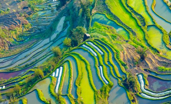 休閑農(nóng)業(yè)行業(yè)市場(chǎng)深度調(diào)研及未來(lái)發(fā)展前景分析2024