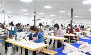 2024年服裝加工行業(yè)的市場發(fā)展現(xiàn)狀及投資風險分析