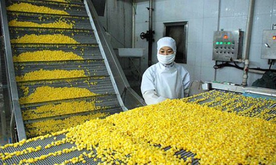 2024年中國糧食加工行業(yè)的市場(chǎng)發(fā)展現(xiàn)狀?及投資前景分析