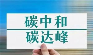 2024年碳中和戰(zhàn)略深度調(diào)研及發(fā)展預測報告 在2030年前實現(xiàn)碳達峰