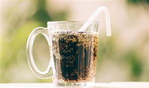 太古可口可樂將在大灣區(qū)建廠，投資高達12.5億元 中國碳酸飲料行業(yè)市場分析及發(fā)展預(yù)測