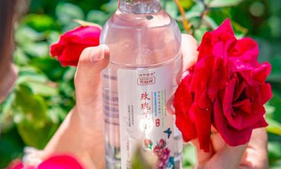 植物水飲料行業(yè)市場投資潛力：預(yù)計到2025年將突破2000億元