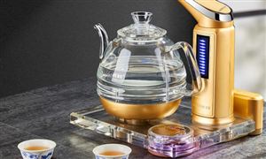 2024年智能茶爐器行業(yè)的市場發(fā)展現(xiàn)狀及投資潛力分析