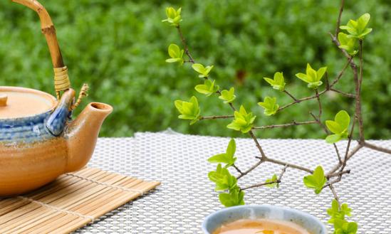 2024年中國(guó)茶多酚行業(yè)現(xiàn)狀、市場(chǎng)規(guī)模及未來(lái)發(fā)展趨勢(shì)分析