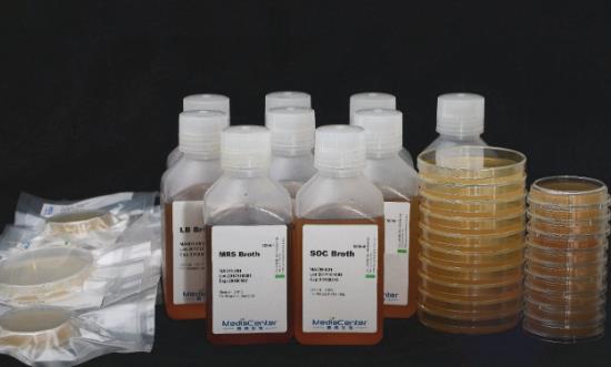 2024生物基材料行業(yè)發(fā)展分析及投資預測