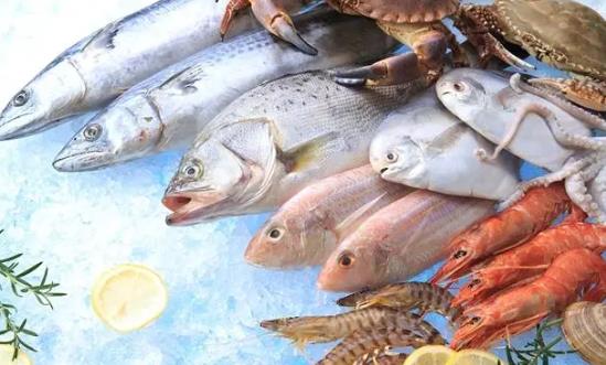 水產(chǎn)品行業(yè)產(chǎn)品入市調(diào)研與未來(lái)消費(fèi)趨向2024