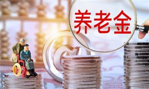 養(yǎng)老保險(xiǎn)行業(yè)市場(chǎng)深度調(diào)研及投資策略預(yù)測(cè)報(bào)告 中國(guó)已建成世界規(guī)模最大的養(yǎng)老保險(xiǎn)體系