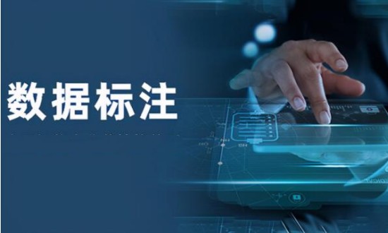 2024年中國數(shù)據(jù)標(biāo)注行業(yè)的產(chǎn)業(yè)鏈上下游結(jié)構(gòu)及投資風(fēng)險分析
