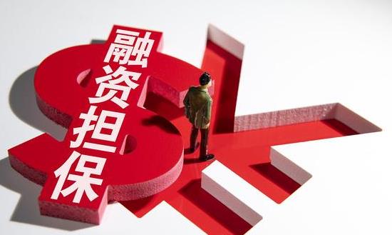 擔保業(yè)務(wù)管理系統(tǒng)