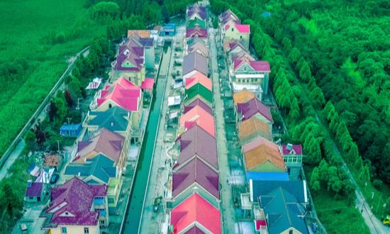 2024年中國(guó)鄉(xiāng)鎮(zhèn)旅游行業(yè)市場(chǎng)現(xiàn)狀及未來發(fā)展趨勢(shì)分析