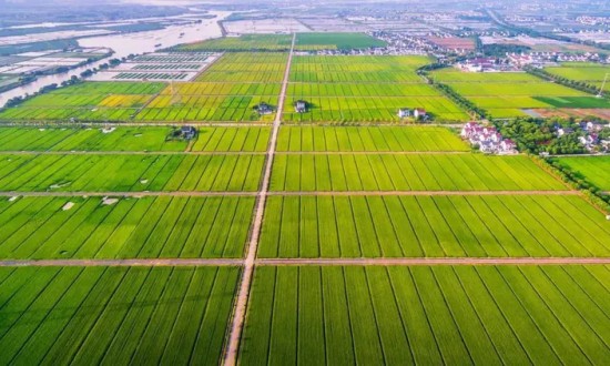 2024年中國高標準農(nóng)田行業(yè)的市場發(fā)展現(xiàn)狀及投資風險分析