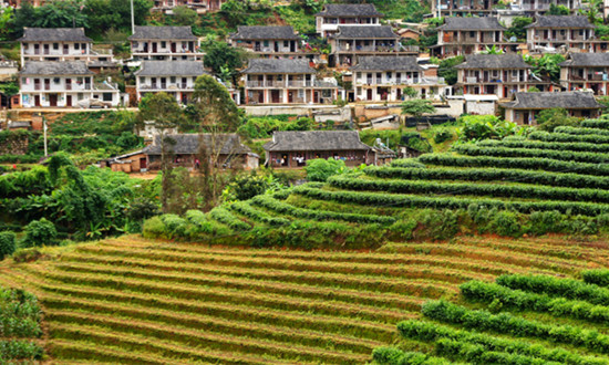 健康小鎮(zhèn)行業(yè)市場(chǎng)環(huán)境及發(fā)展現(xiàn)狀、未來(lái)前景展望