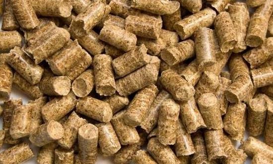 市場分析：到2030年中國生物發(fā)酵飼料需求量將達(dá)到2034.8萬噸