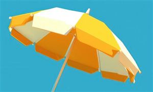 2024年雨傘市場(chǎng)調(diào)研及未來(lái)發(fā)展趨勢(shì)分析