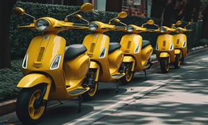 2024共享電動(dòng)車市場(chǎng)現(xiàn)狀和重點(diǎn)企業(yè)分析