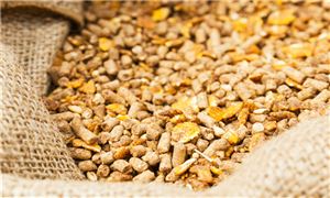 2025年飼料產(chǎn)業(yè)區(qū)域集中度(山東省)與產(chǎn)能突破預測