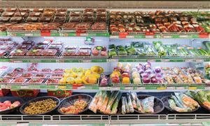2025年“一帶一路”食品加工行業(yè)競爭格局預測與投資戰(zhàn)略分析，食品產業(yè)新機遇