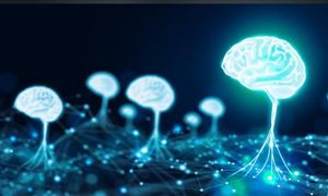 2025年杭州自然語言處理行業(yè)發(fā)展現(xiàn)狀趨勢與未來展望