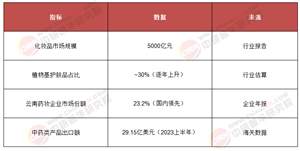 聚焦“一帶一路”：2025 - 2030傳統(tǒng)草藥護膚品產(chǎn)業(yè)投資戰(zhàn)略的N個關鍵點